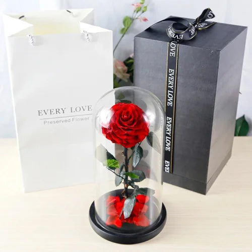 Red Enchanted Rose