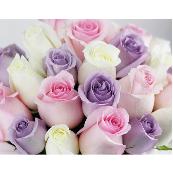 Mix Colours Roses