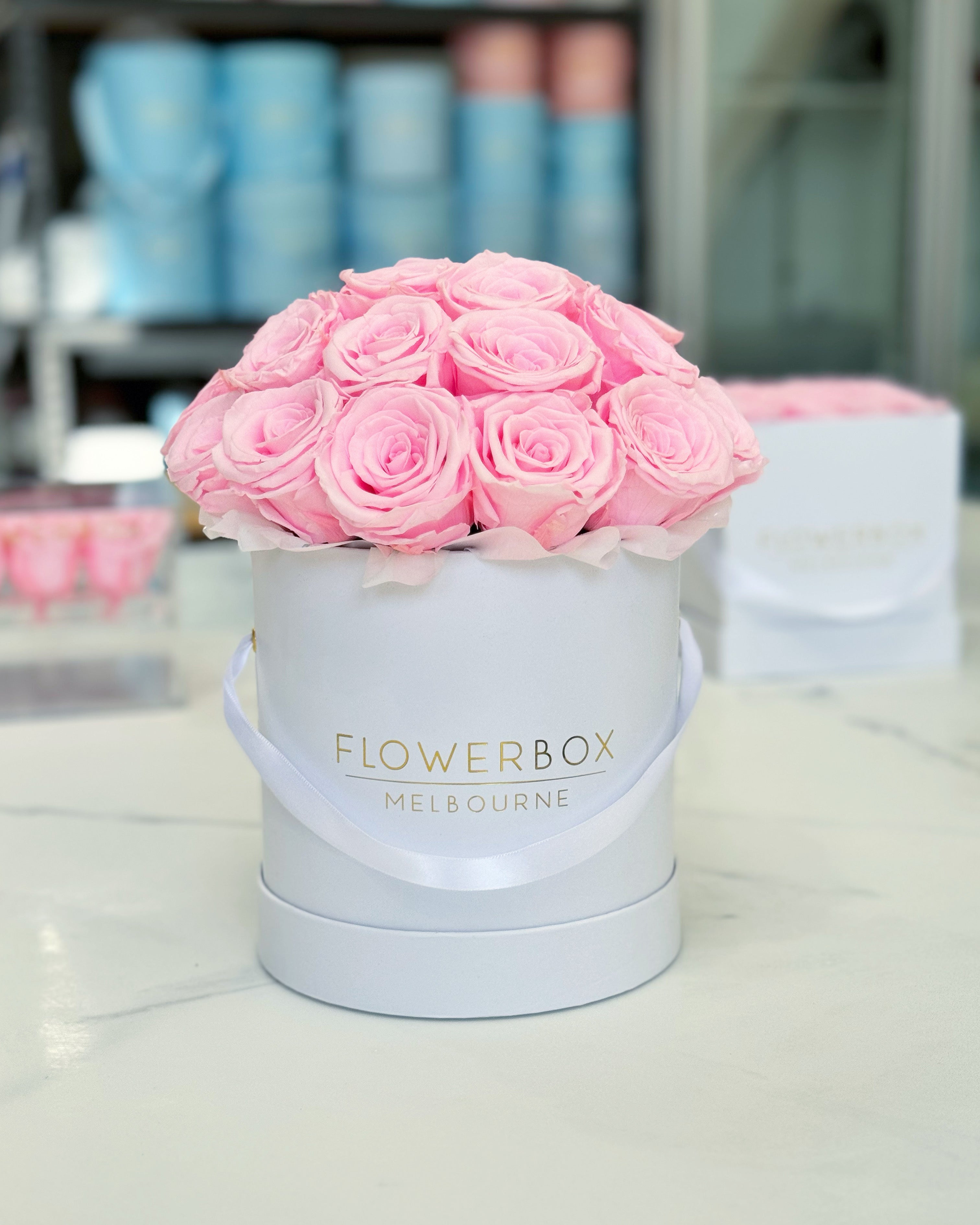 Infinity Roses (Long Lasting)