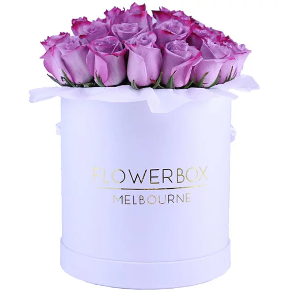 Lilac Ribbon Roses Lilac Roses