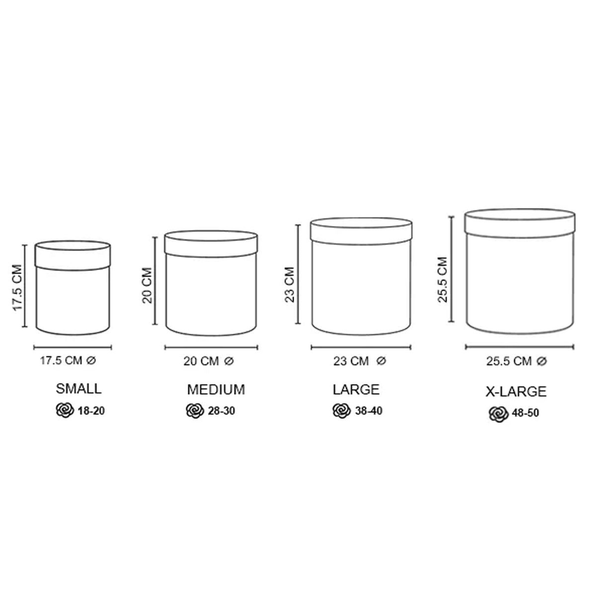 Infinity Roses (Long Lasting)